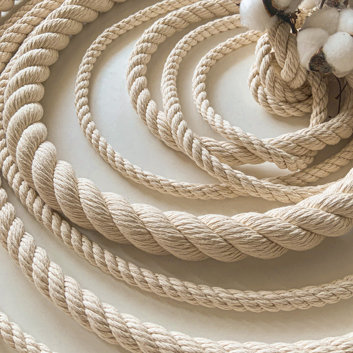 DANGAO 2 Metri 12 mm 3 Parti Intrecciate 100% Cotone colorato Corde/Corda per Borsa Decorazioni per la casa Accessori Tessili Fai da Te DANGAO 2 Metri 12 mm 3 Parti Intrecciate 100% Cotone colorato Corde/Corda per Borsa Decorazioni per la casa Accessori Tessili Fai da Te